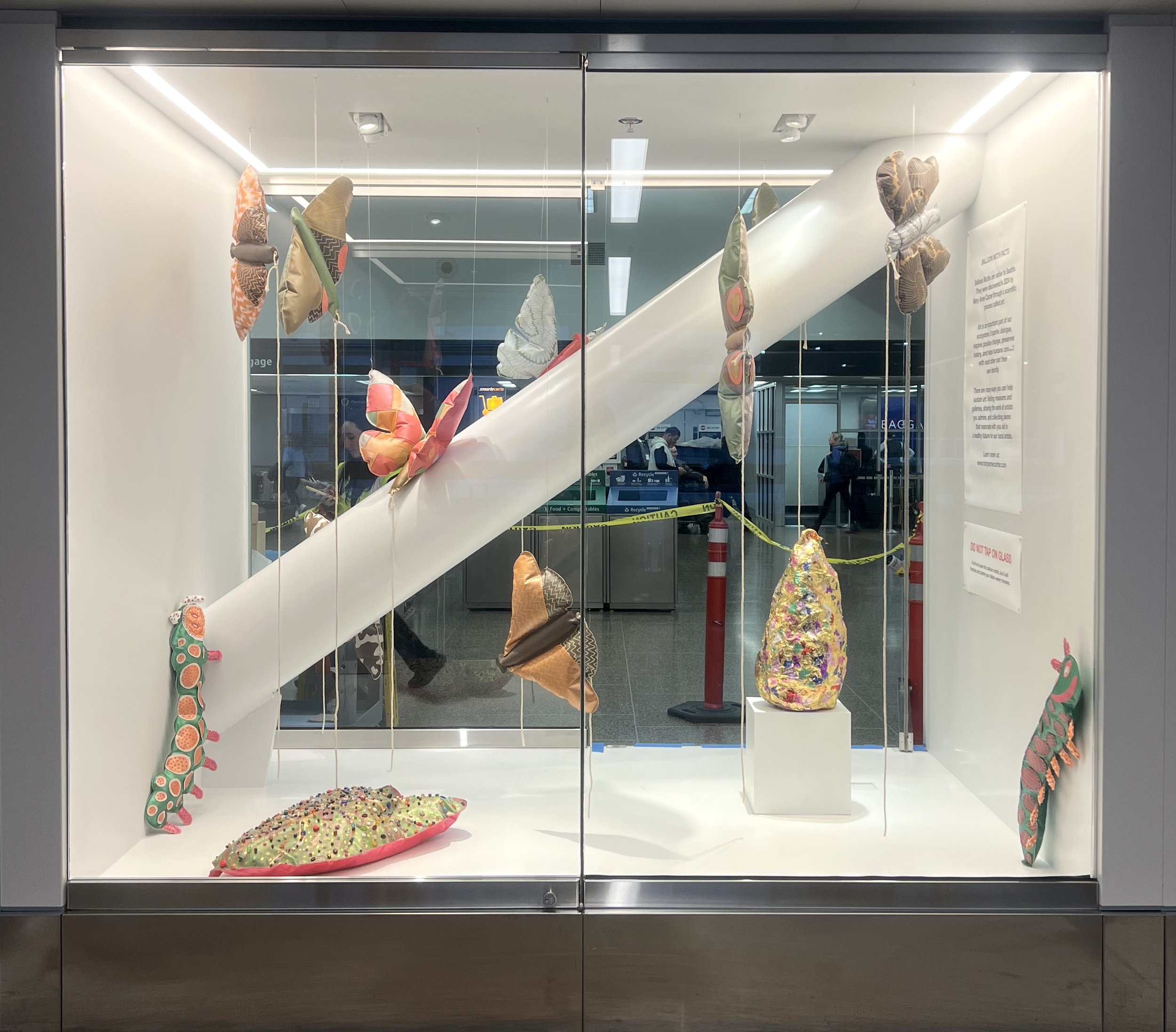 Moth Vitrine.jpg