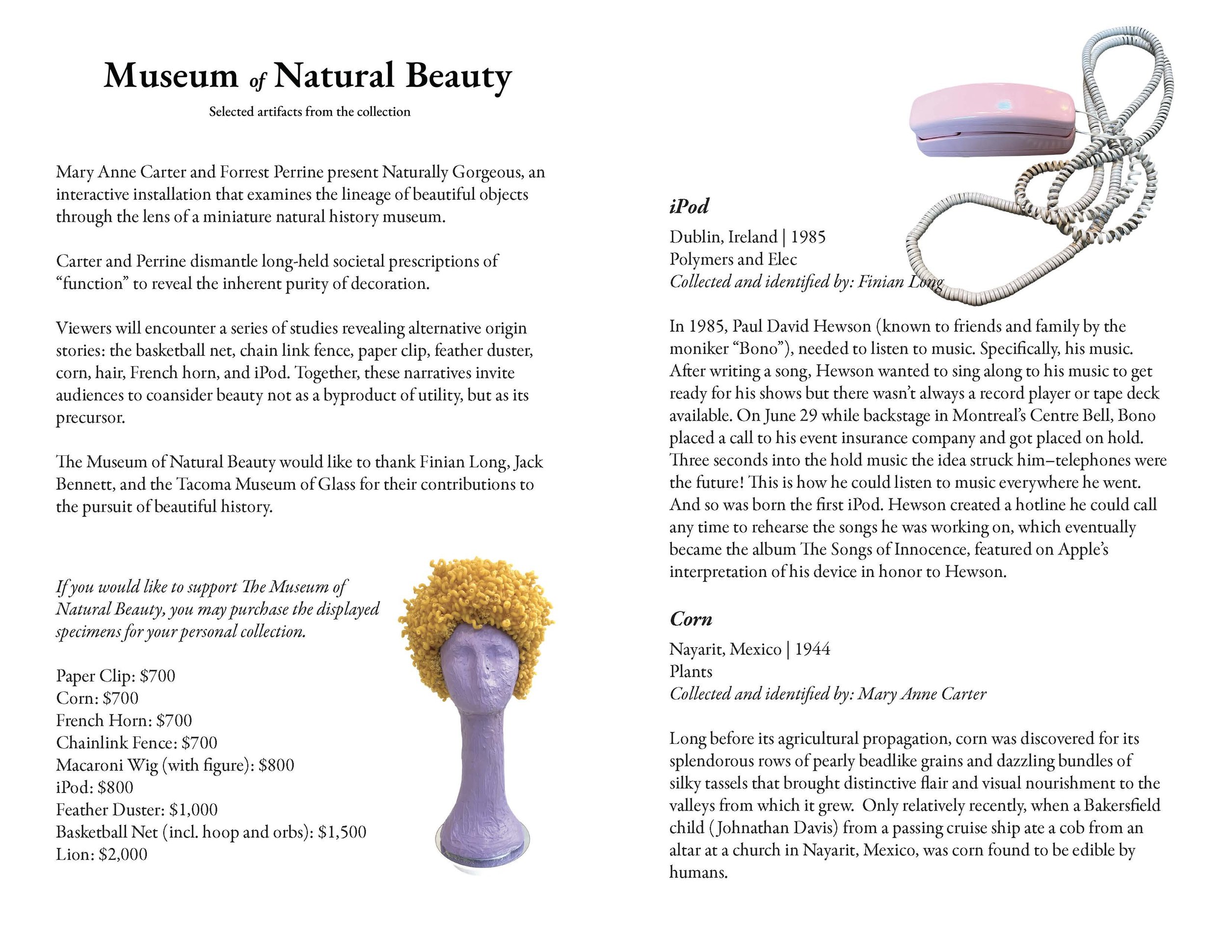 Museum of Natural Beauty Zine Pages_Page_2.jpg