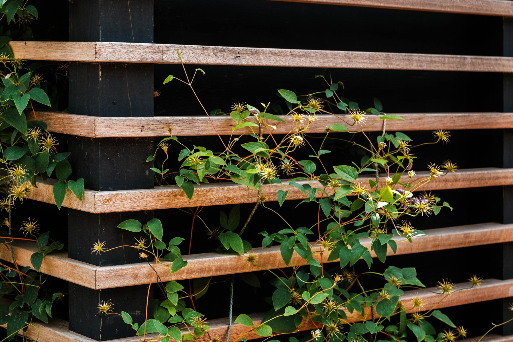 Eastman Way_Bayview Landscape Architecture_10.jpg