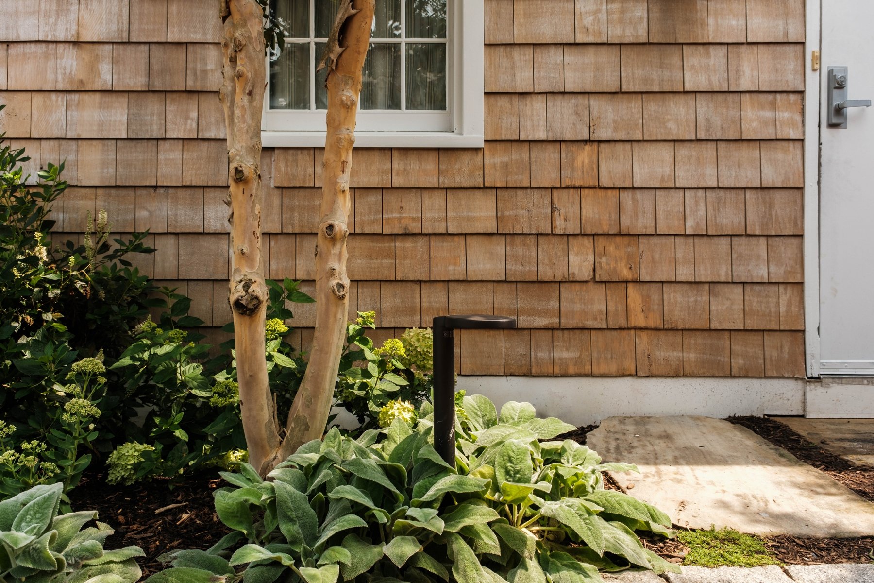 Eastman Way_Bayview Landscape Architecture_25.jpg