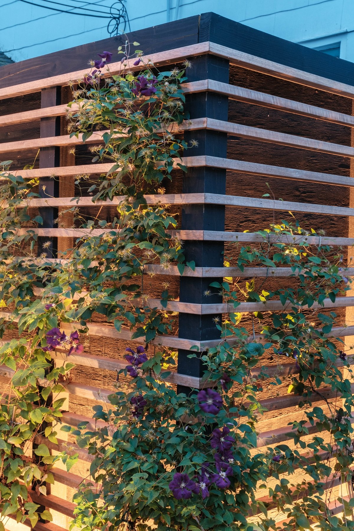 Eastman Way_Bayview Landscape Architecture_42.jpg