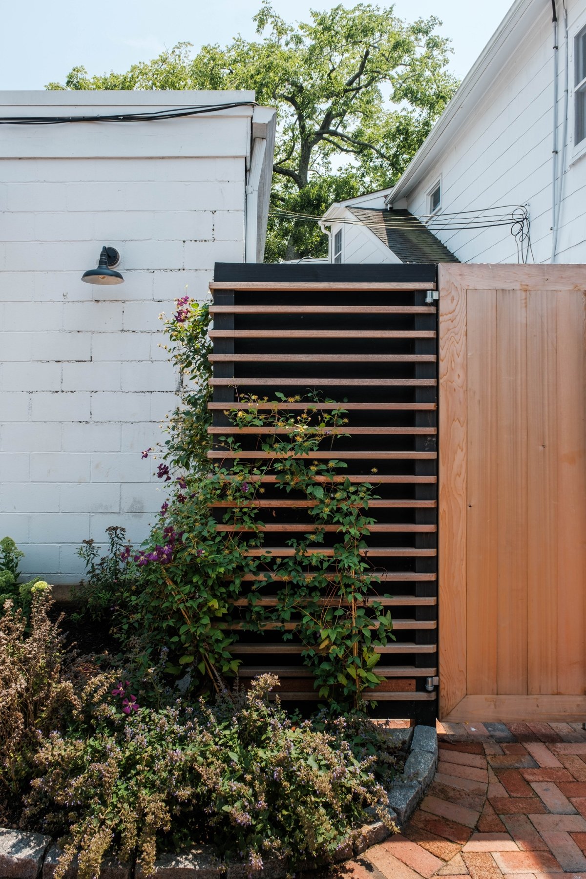 Eastman Way_Bayview Landscape Architecture_8.jpg