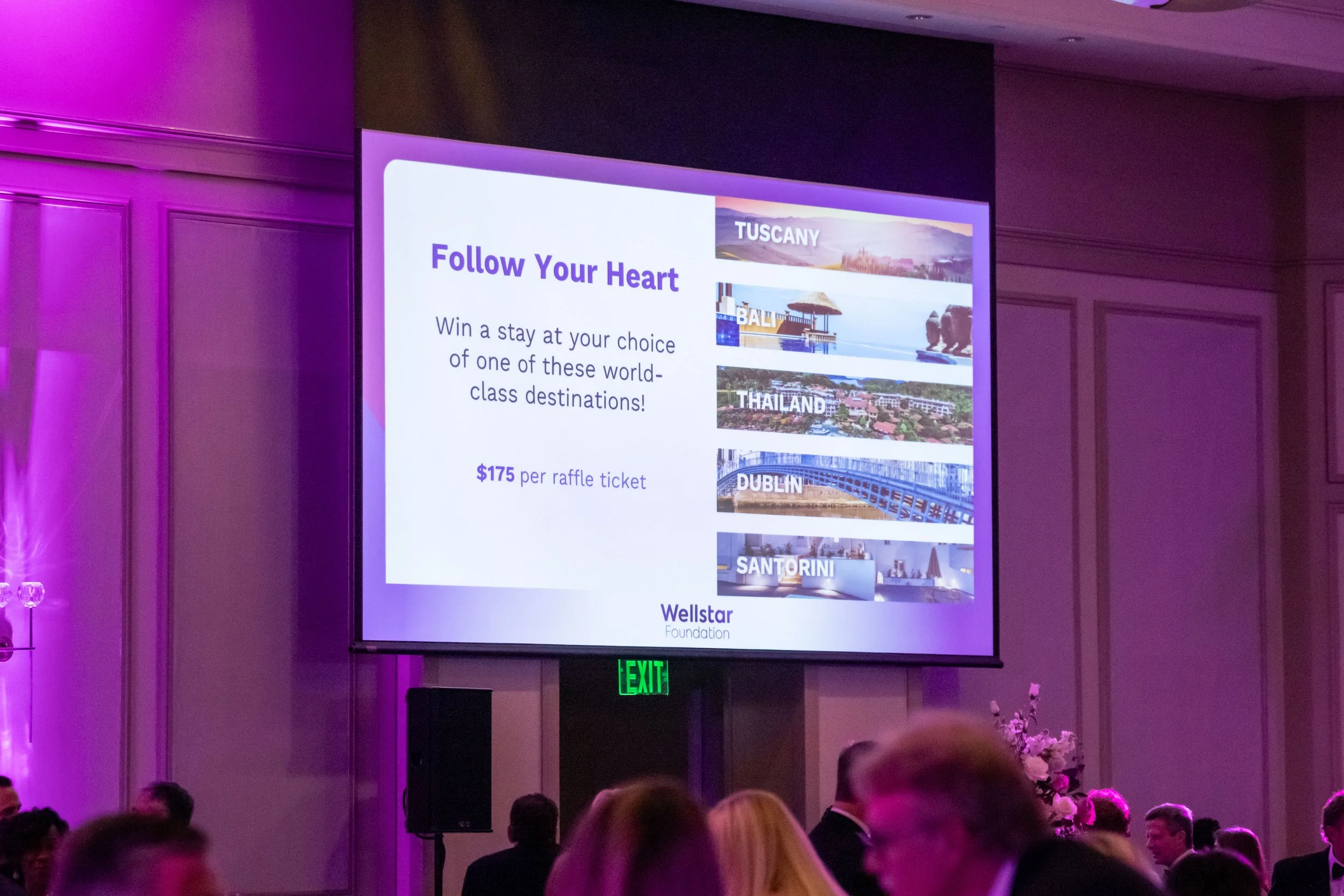 2421_Wellstar Grand Gala 2026_event branding.jpg