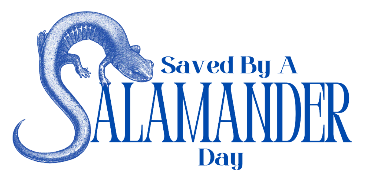 Saved by a Salamander Day