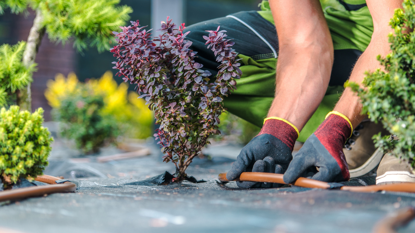7 Benefits of Irrigation for Your Lawn and Landscaping
