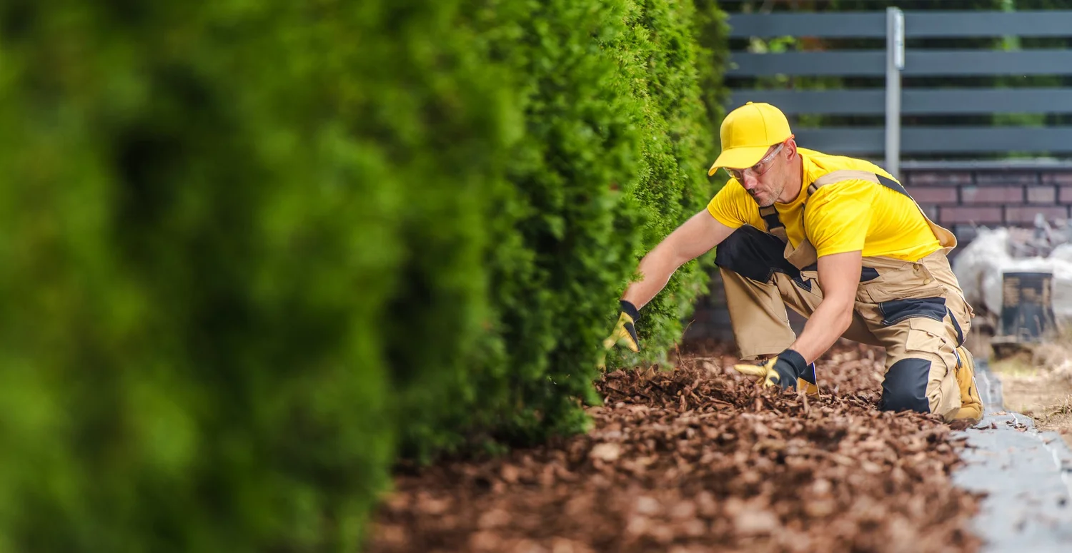 From Patchy to Perfect: Preventing 5 Sod Installation Missteps - Dealing with Potential Issues