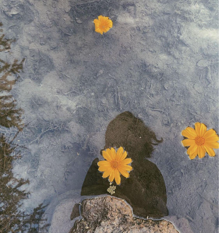 Healing the Roots: When trauma is behind anxiety and depression&nbsp;