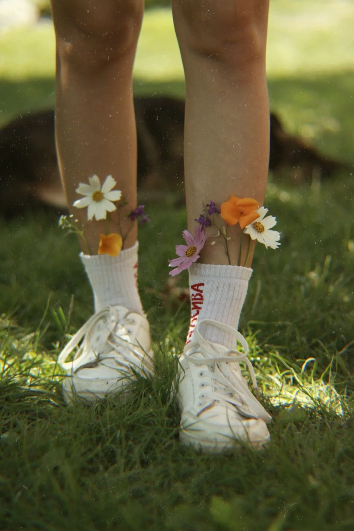 Healing the Roots: When trauma is behind anxiety and depression&nbsp;