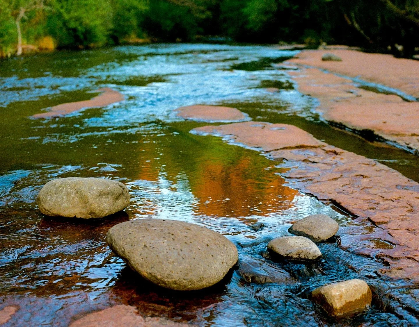 Flora and fauna of Sedona, Arizona.
June 2025

.
.
.
.

#35mm #nikon #kodak #kodakgold #sedonaarizona @visitsedona