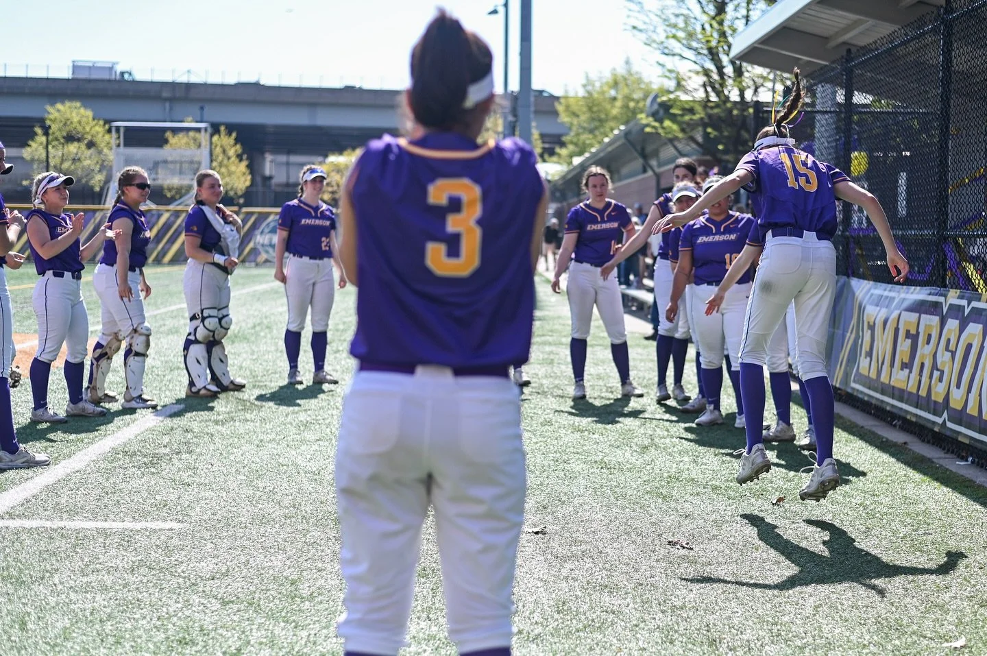 @emerson_softball 2025 Season 

#rollpurp