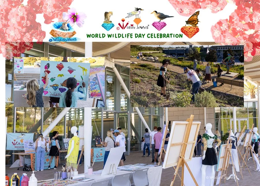 Wildlife Jewels Celebrates World Wildlife Day in Newport Beach with Art, Conservation, and Community Action