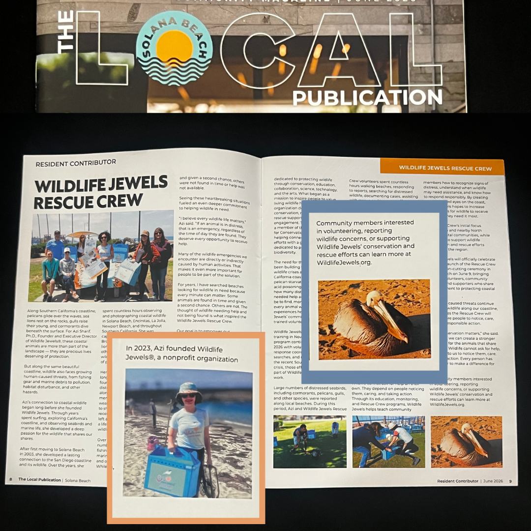 Wildlife Jewels Rescue Crew Featured in The Local Publication