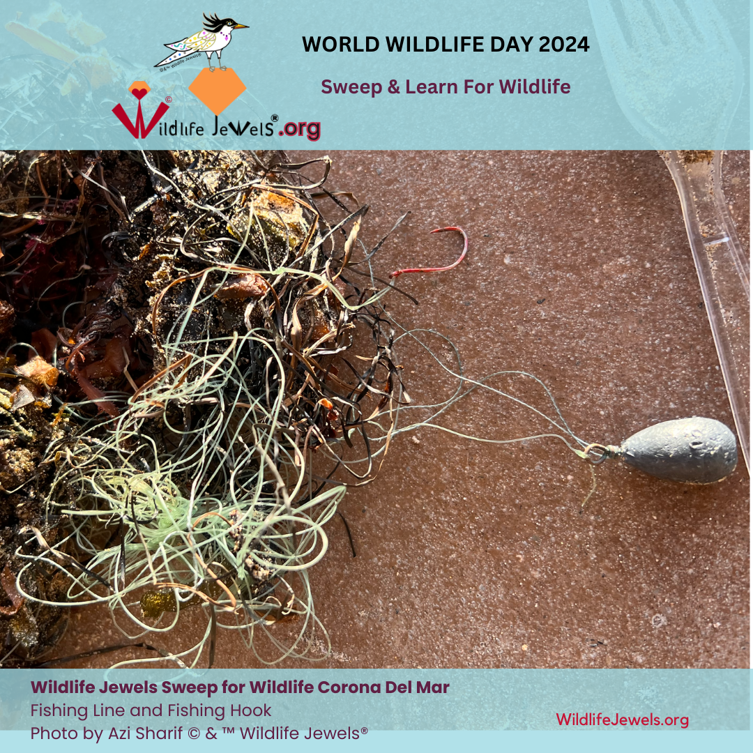 3 March 2024 Swep for Wildlife CDM-6.png