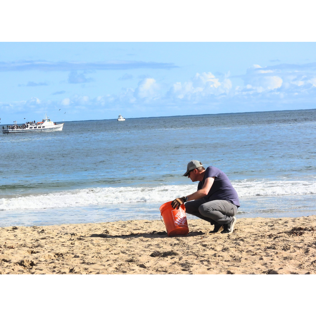 ©WildlifeJewels-EarthDay-Cleanup-27April2025-47.png