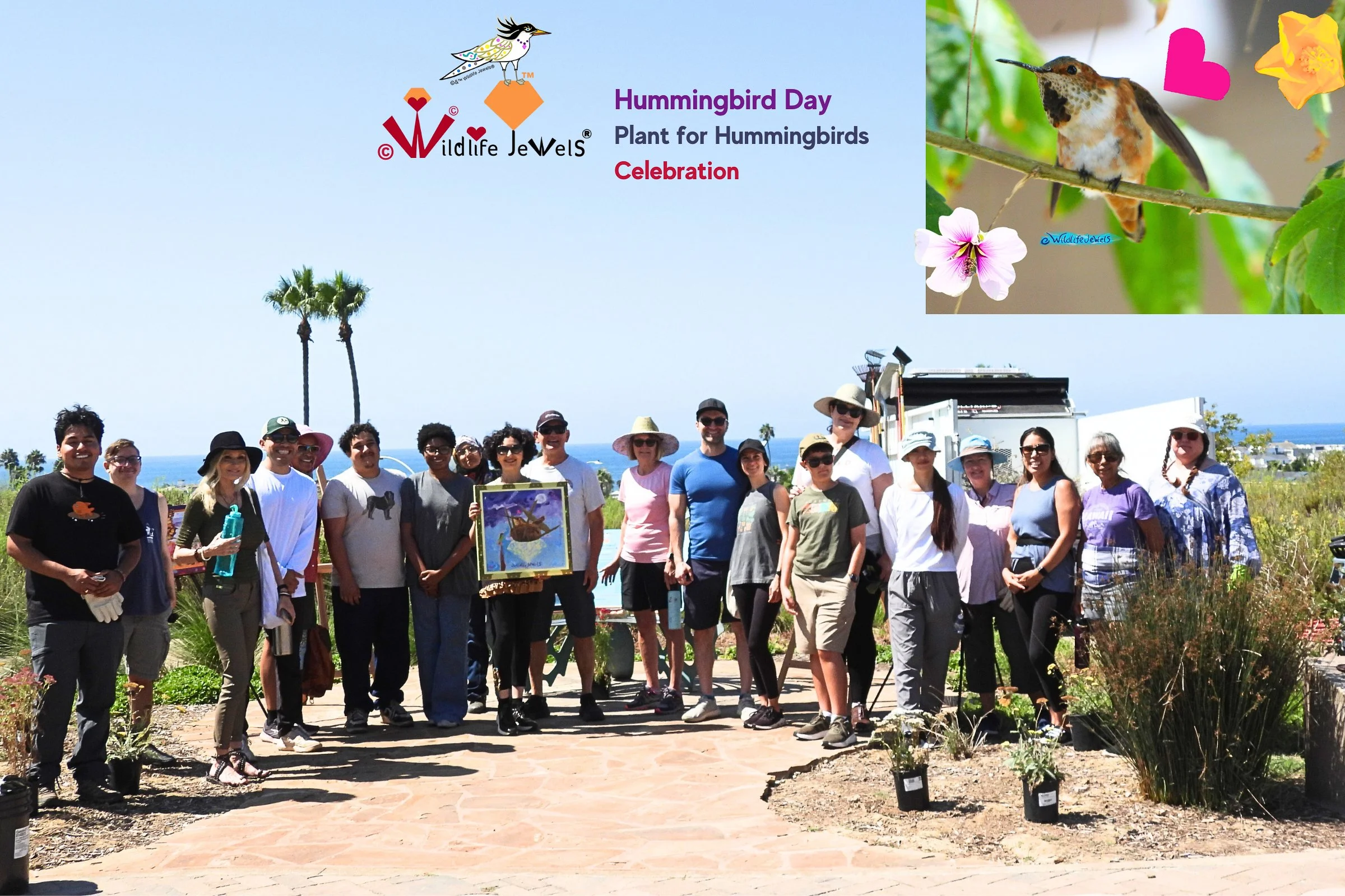 Wildlife Jewels: Plant for Hummingbirds — Volunteers Plant Native Habitat at Sunset Ridge Park