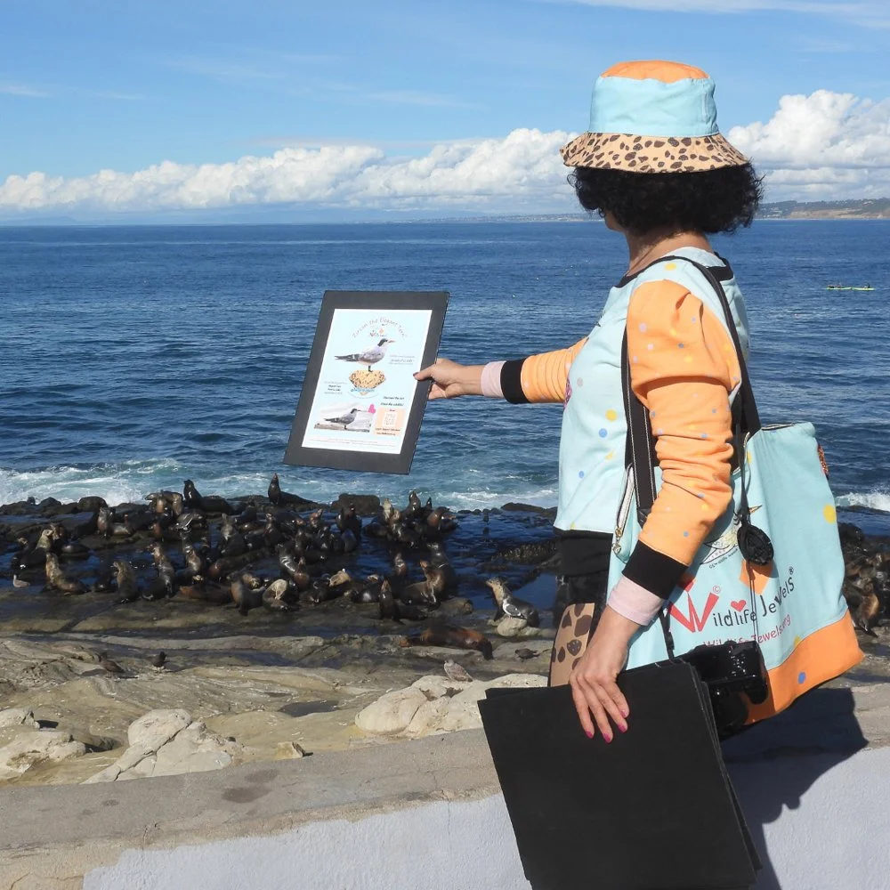 © Wildlife Jewels Bird Day La Jolla 2026-02.jpg