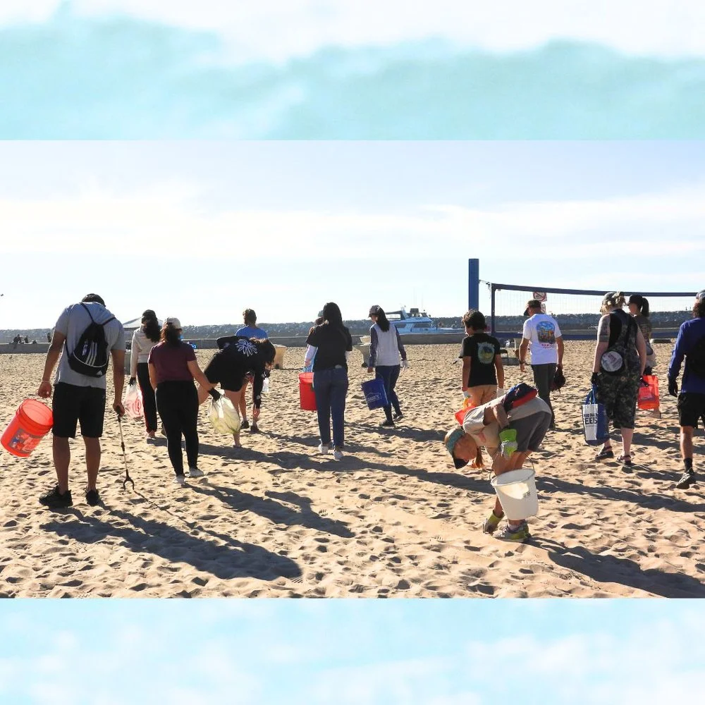 © Wildlife Jewels Sweep CDM Jan 2026-08.jpg