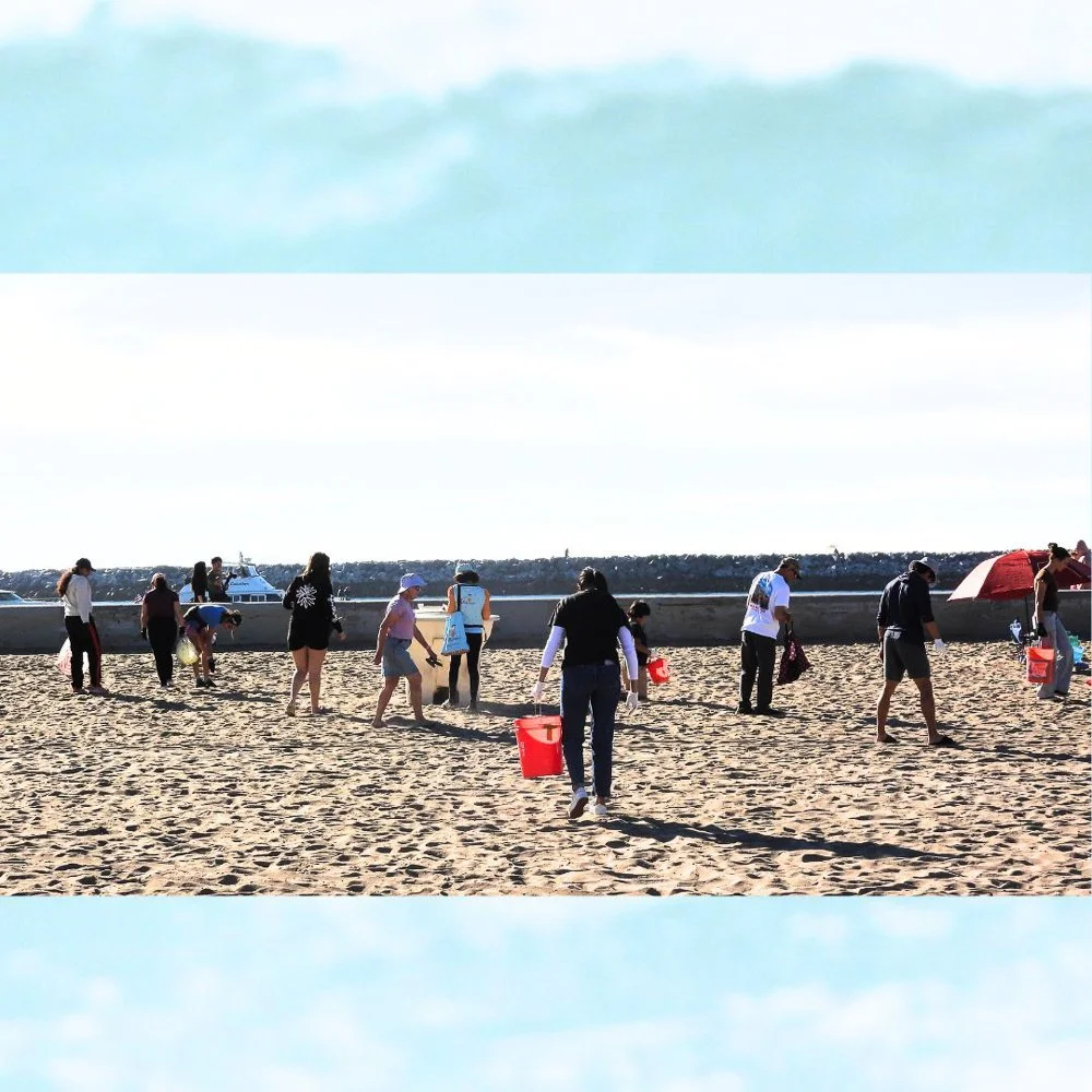 © Wildlife Jewels Sweep CDM Jan 2026-09.jpg