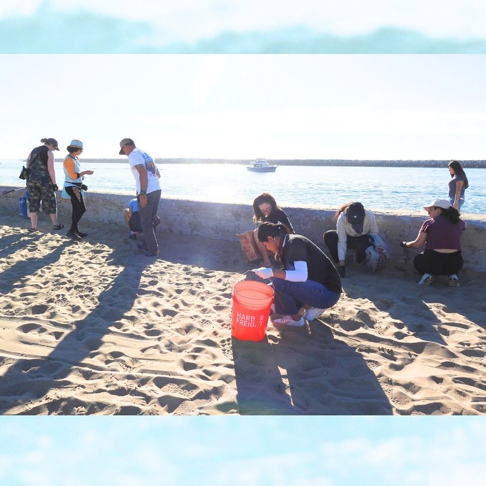 © Wildlife Jewels Sweep CDM Jan 2026-10.jpg