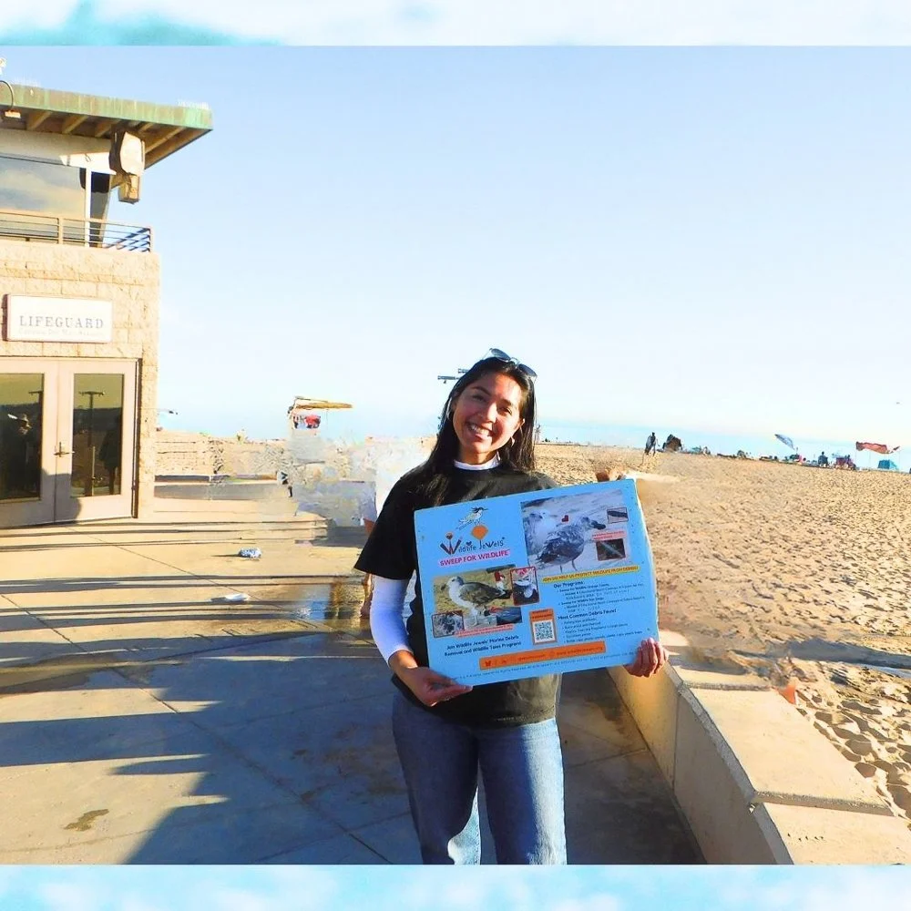 © Wildlife Jewels Sweep CDM Jan 2026-12.jpg