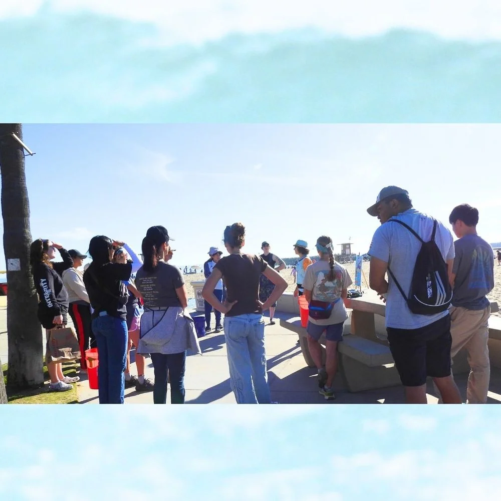 © Wildlife Jewels Sweep CDM Jan 2026-13.jpg