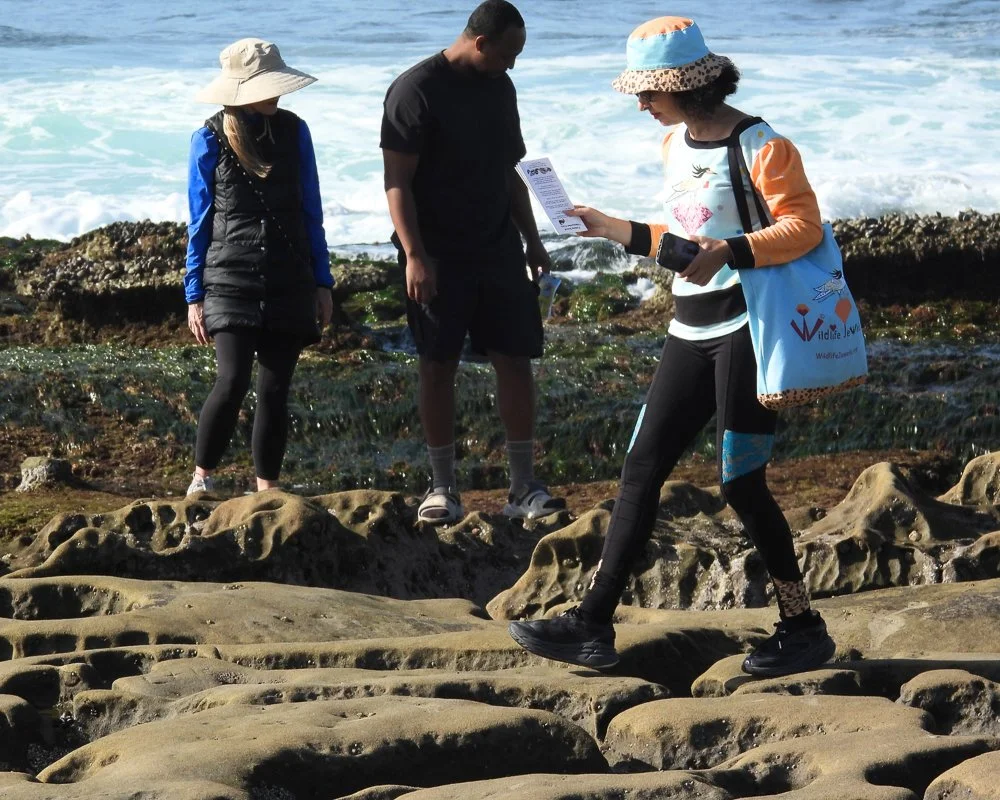 Wildlife Jewels EYES Field Day-20.jpg