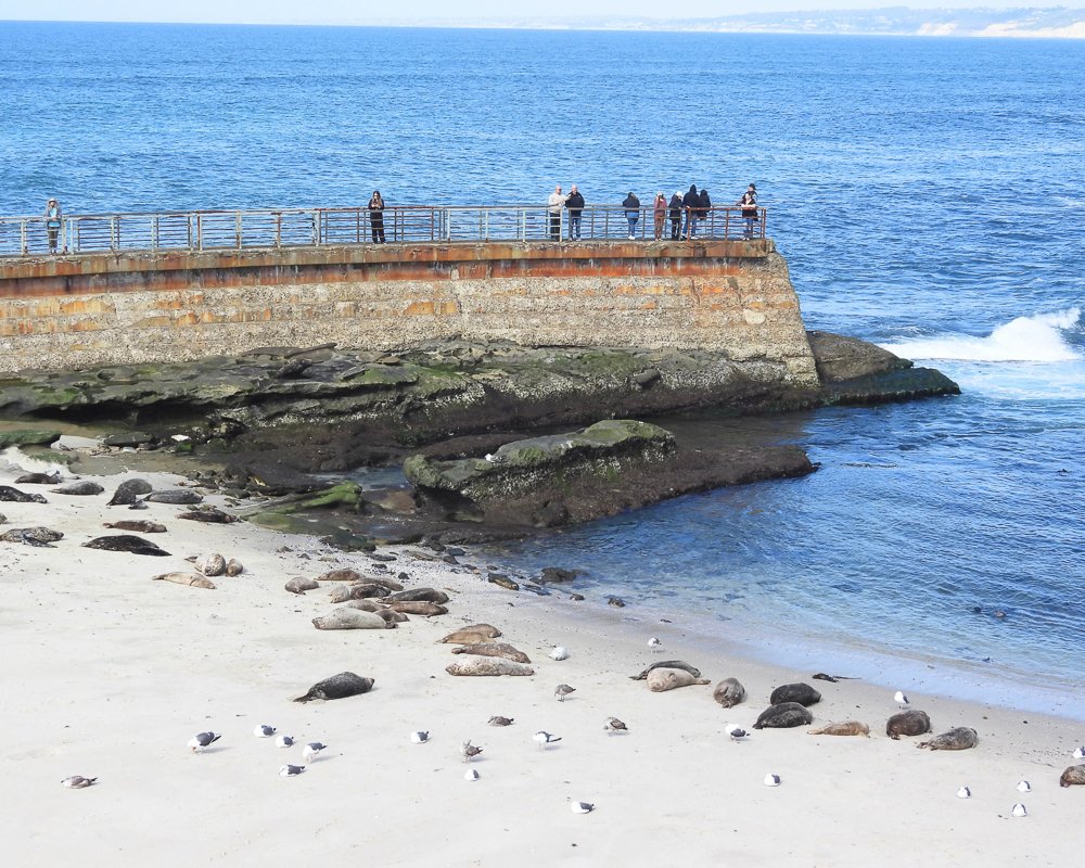 Wildlife Jewels EYES Field Day-09.jpg