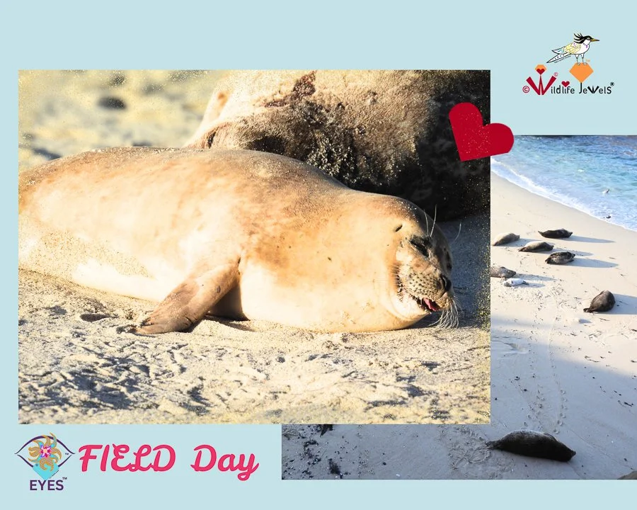 Wildlife Jewels EYES FIELD DAY FEB 26-13.jpg