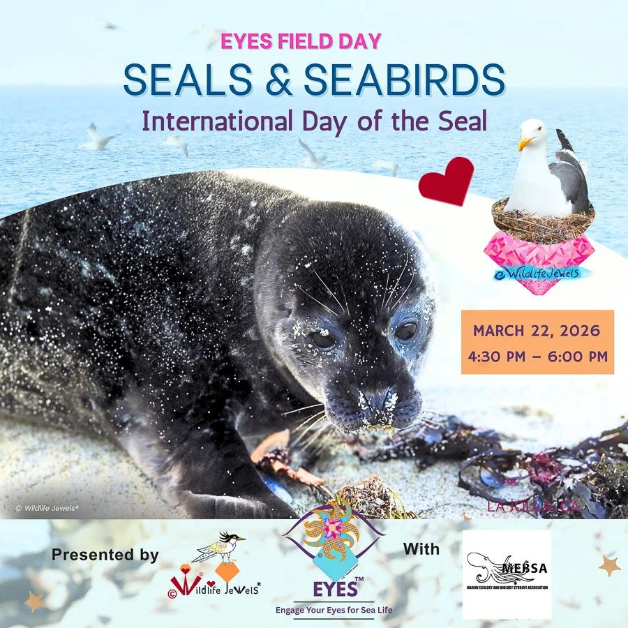 Wildlife Jewels presents: EYES Field Day: Seals & Seabirds