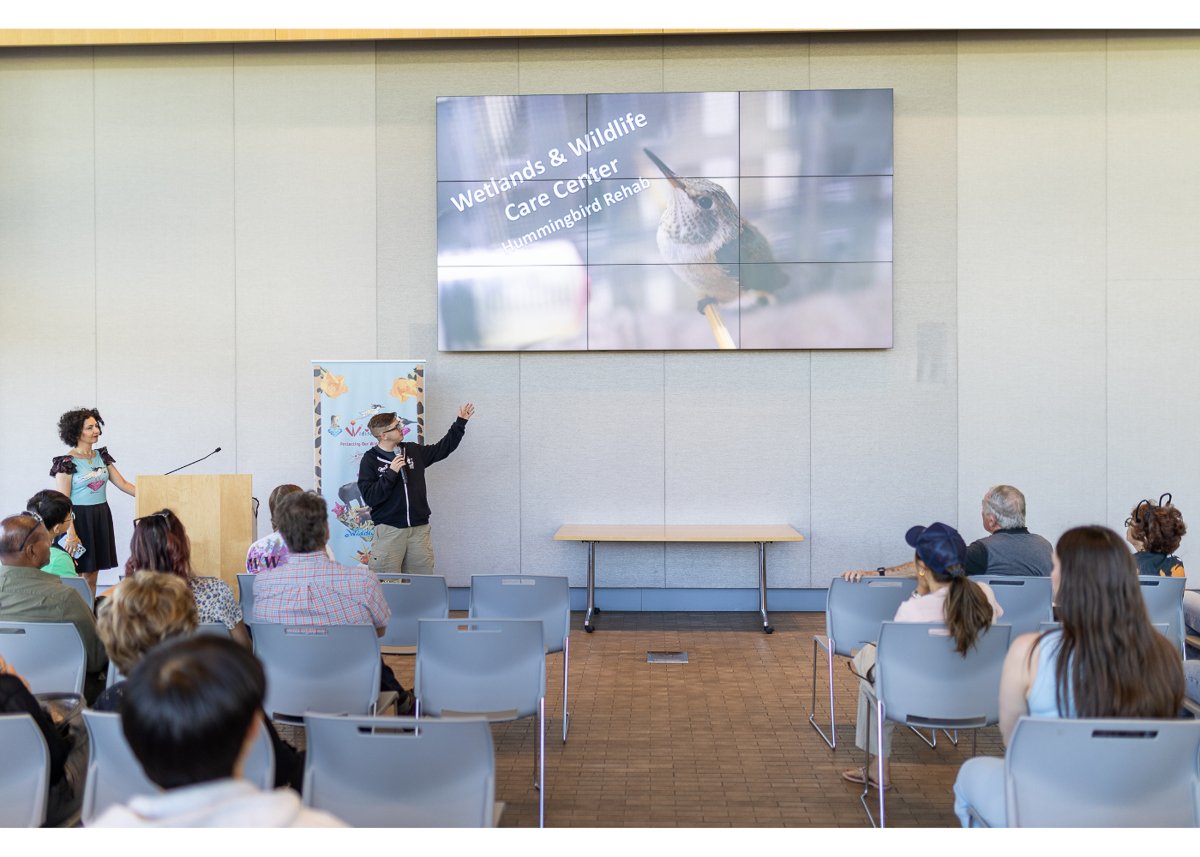 Wildlife Jewels World Wildlife Day NB-101.jpg