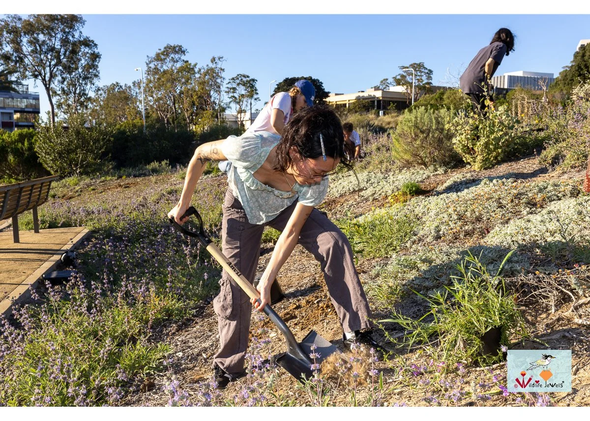 Wildlife Jewels World Wildlife Day NB-131.jpg
