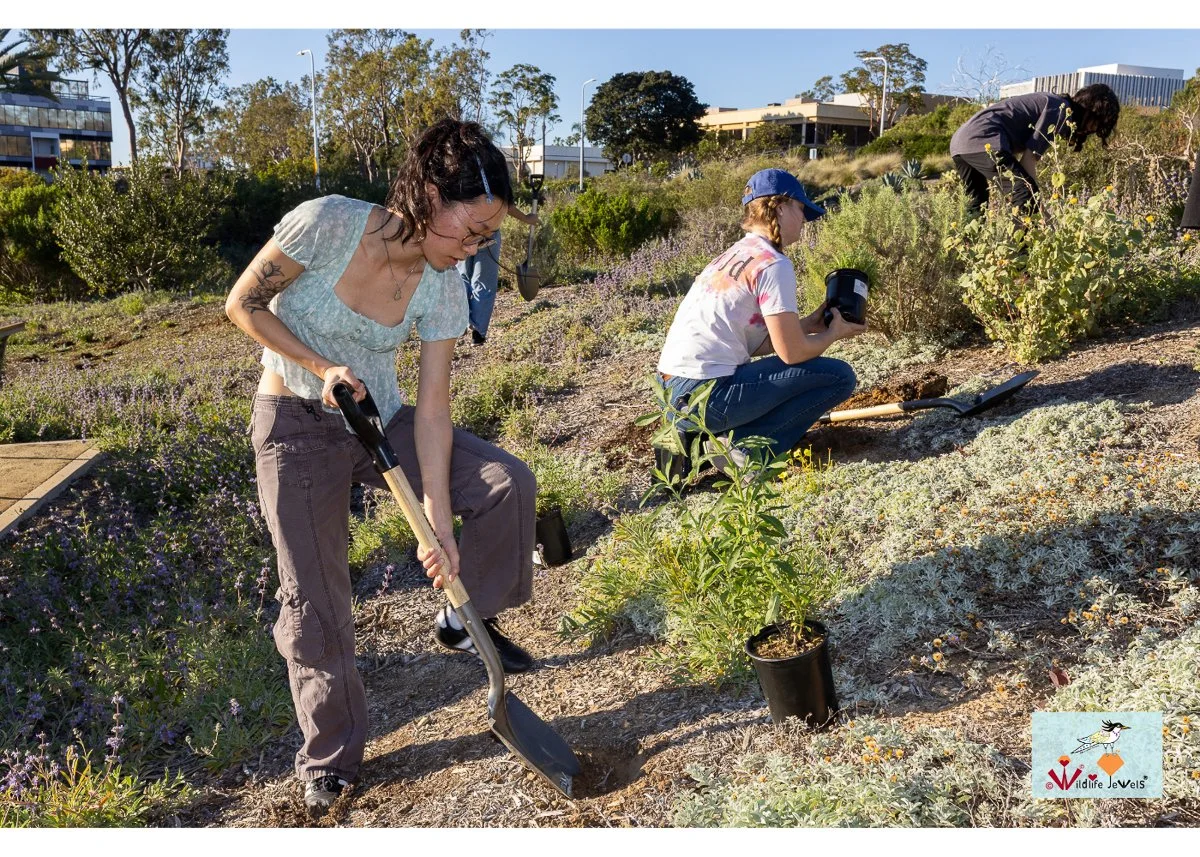 Wildlife Jewels World Wildlife Day NB-128.jpg