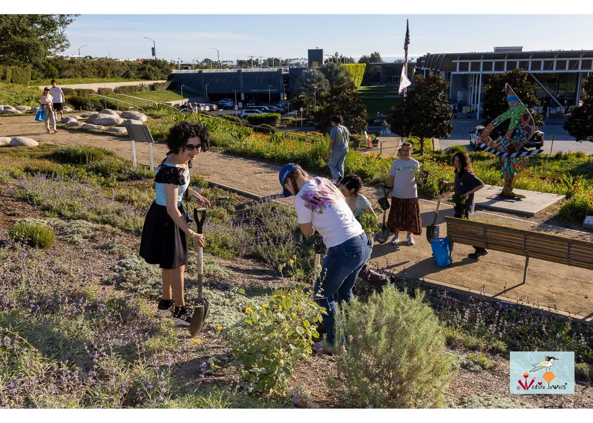 Wildlife Jewels World Wildlife Day NB-127.jpg