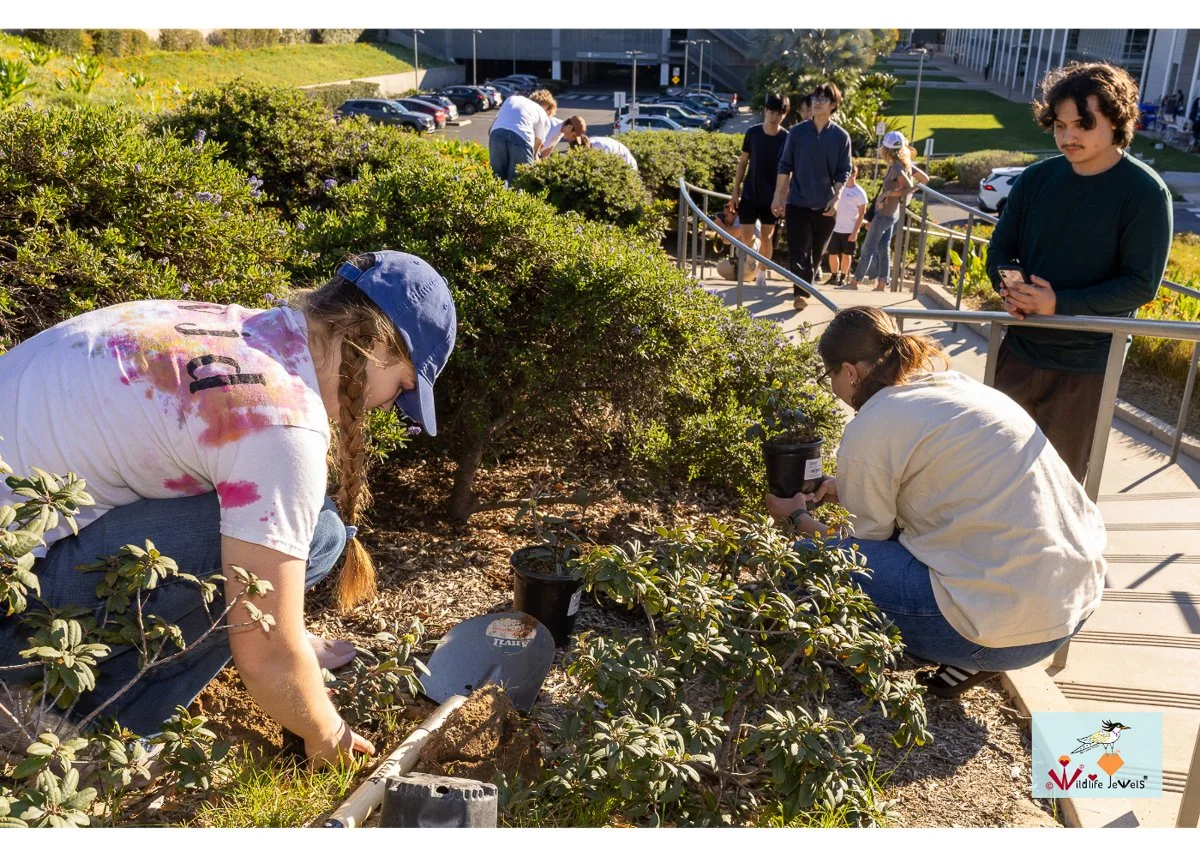 Wildlife Jewels World Wildlife Day NB-118.jpg