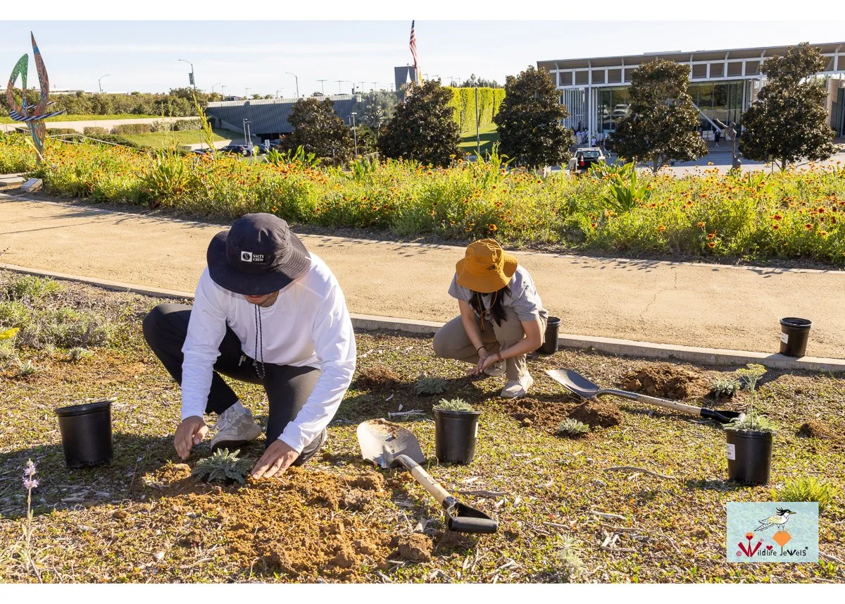 Wildlife Jewels World Wildlife Day NB-117.jpg