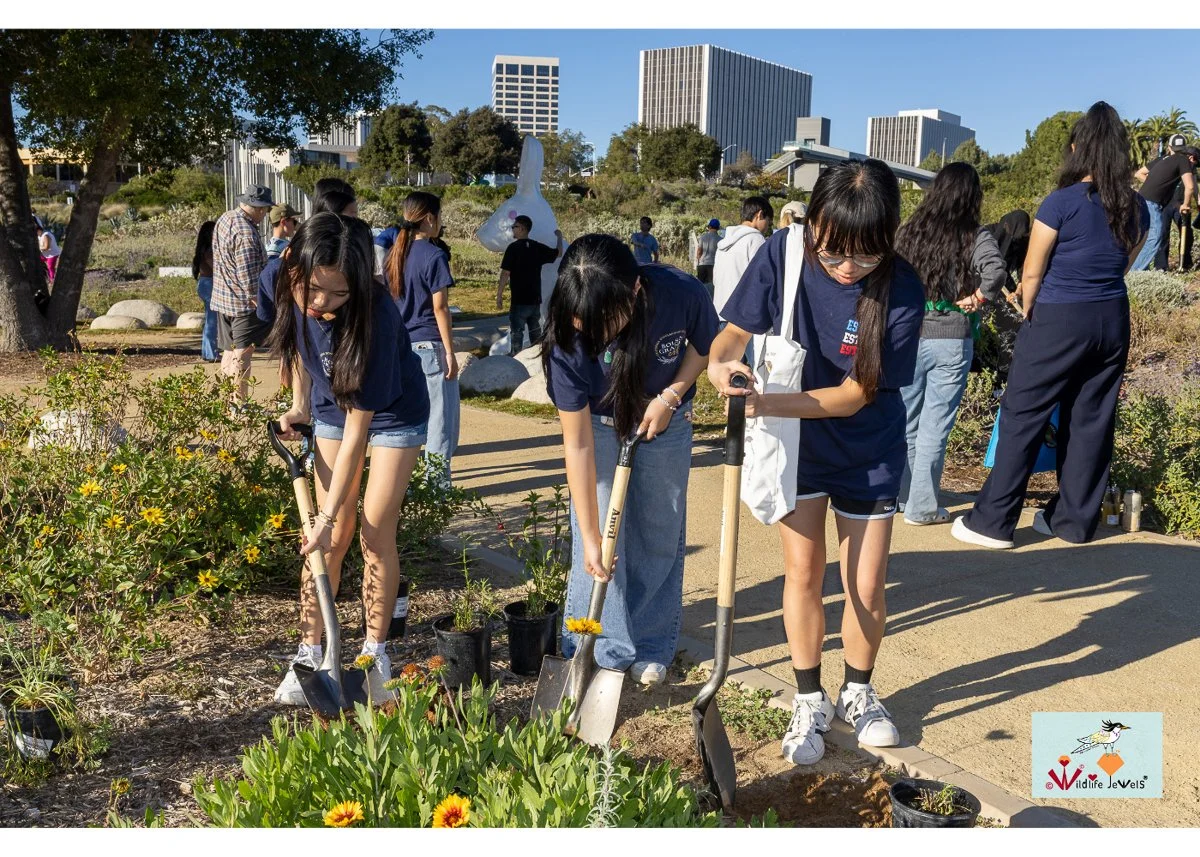 Wildlife Jewels World Wildlife Day NB-115.jpg