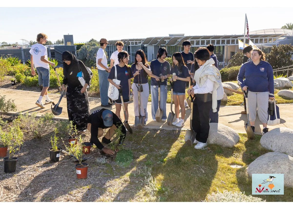 Wildlife Jewels World Wildlife Day NB-111.jpg