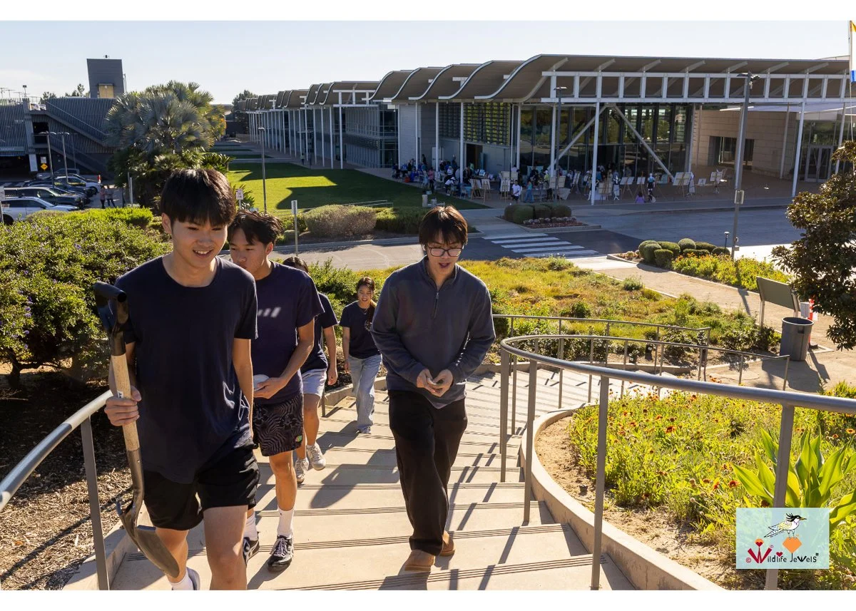 Wildlife Jewels World Wildlife Day NB-109.jpg