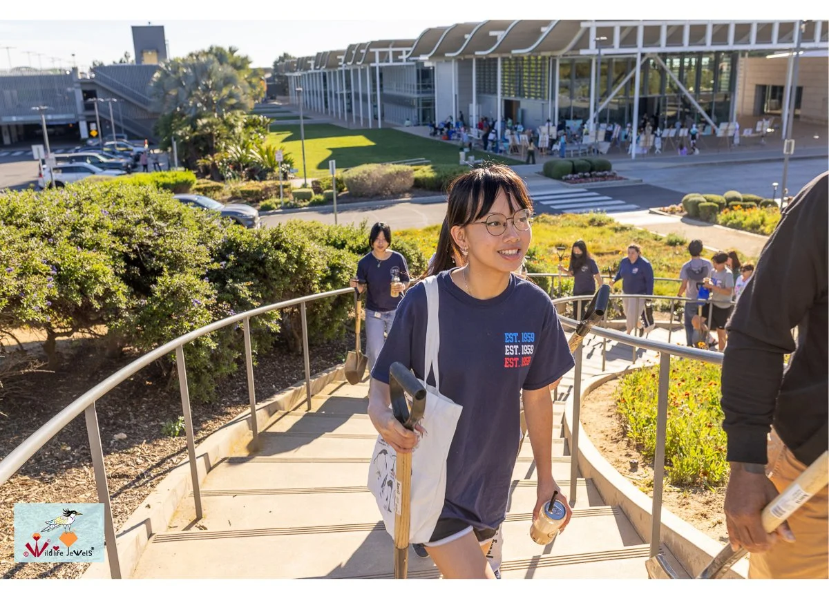 Wildlife Jewels World Wildlife Day NB-106.jpg