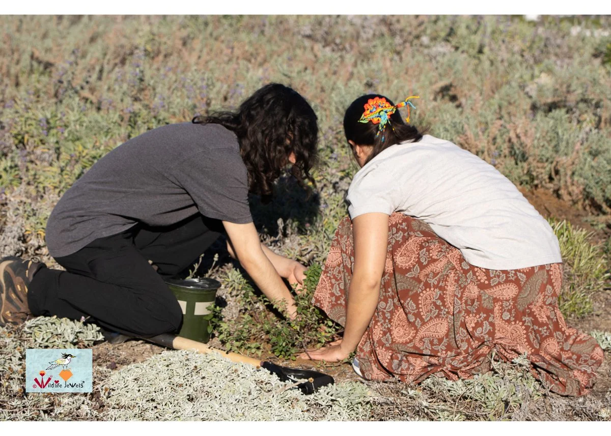 Wildlife Jewels World Wildlife Day NB-084.jpg