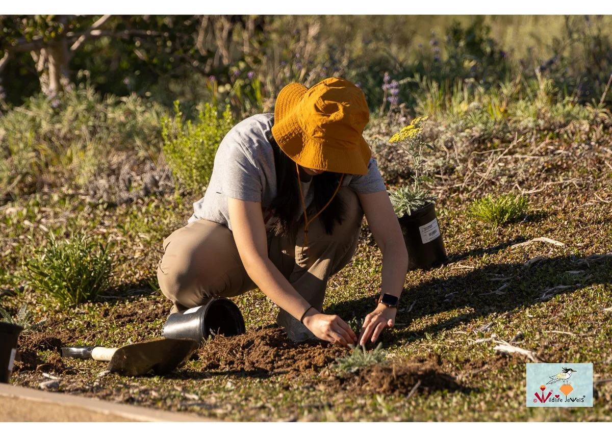 Wildlife Jewels World Wildlife Day NB-076.jpg