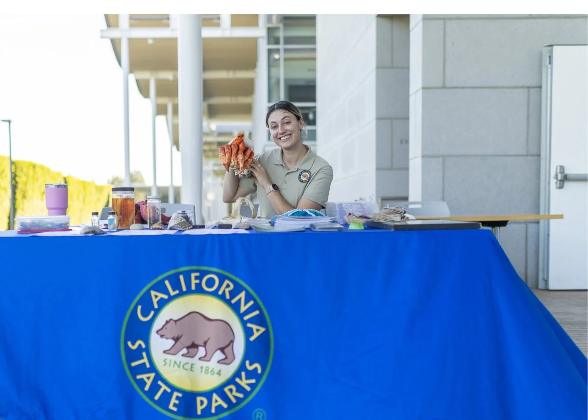 Wildlife Jewels World Wildlife Day NB-163-2.jpg