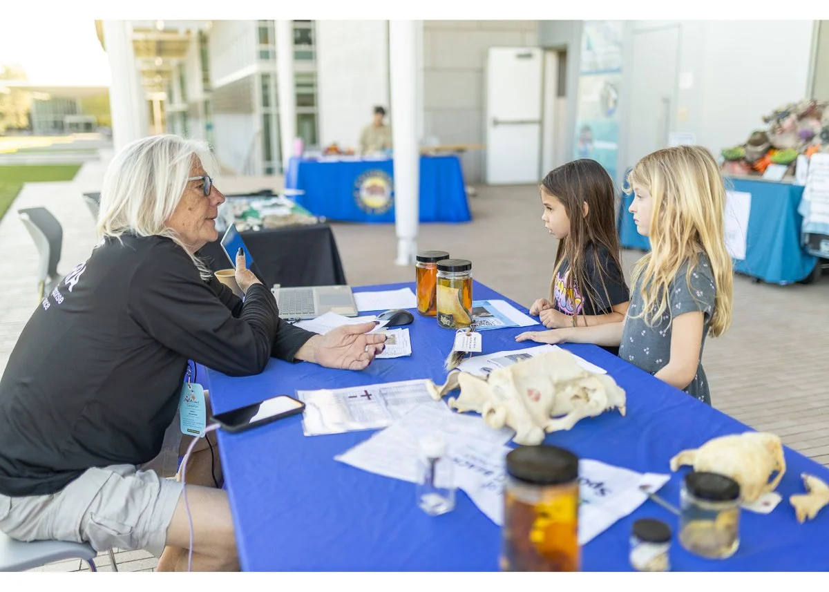 Wildlife Jewels World Wildlife Day NB-162-2.jpg