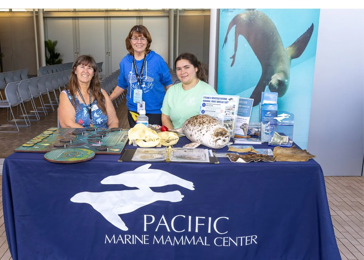 Wildlife Jewels World Wildlife Day NB-145.jpg