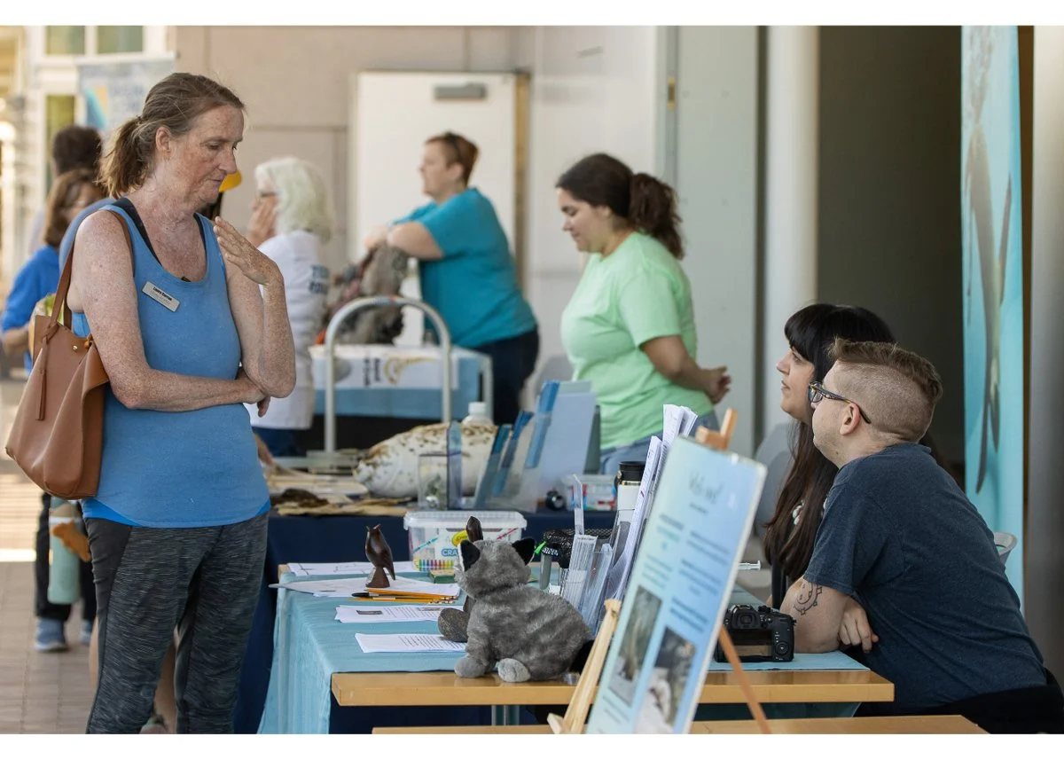 Wildlife Jewels World Wildlife Day NB-047.jpg