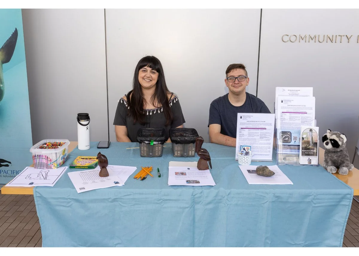 Wildlife Jewels World Wildlife Day NB-045.jpg