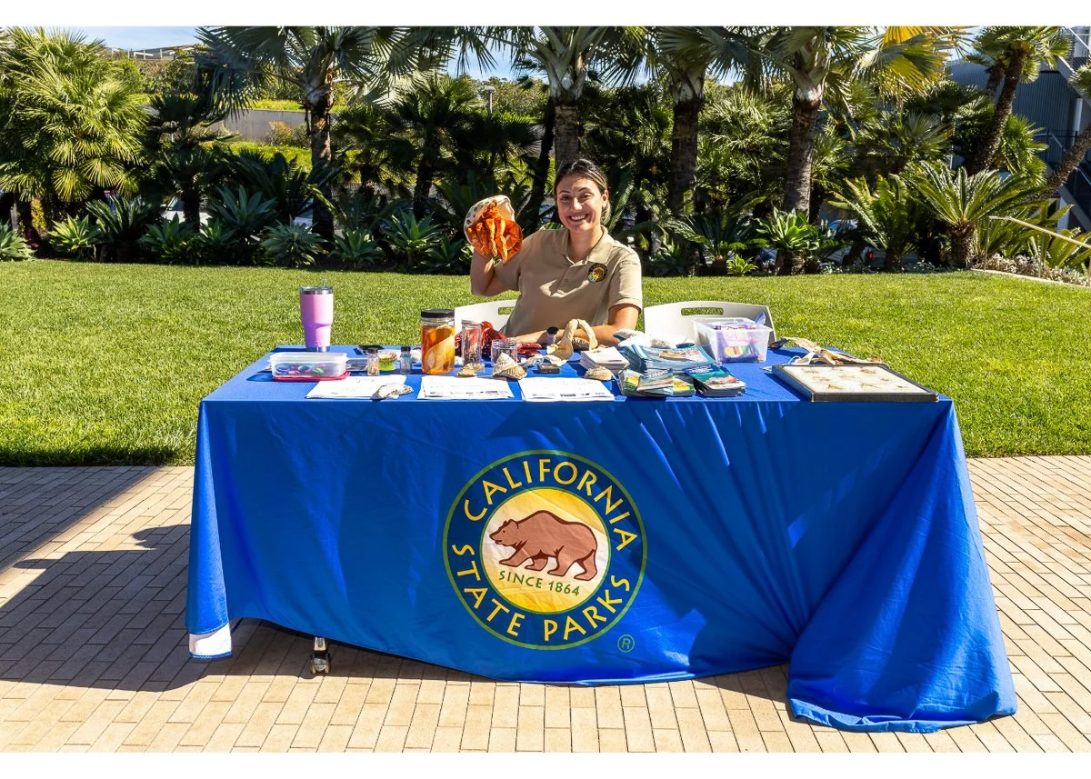 Wildlife Jewels World Wildlife Day NB-044.jpg