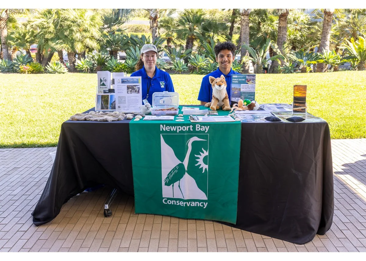 Wildlife Jewels World Wildlife Day NB-043.jpg