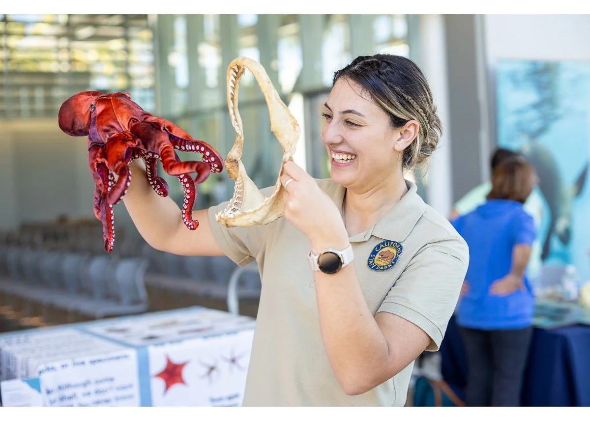 Wildlife Jewels World Wildlife Day NB-042.jpg