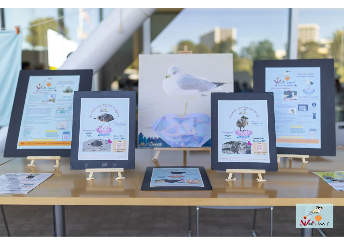 Wildlife Jewels World Wildlife Day NB-099.jpg